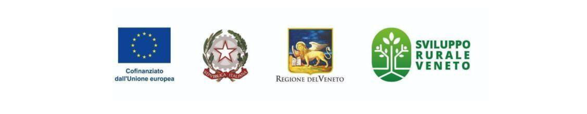 bado-regionale